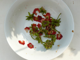 gestaltung [design] postler