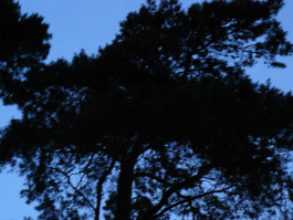 gestaltung [design] postler