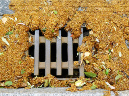 gestaltung [design] postler