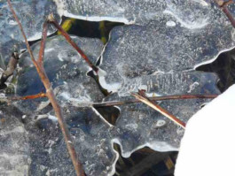 gestaltung [design] postler