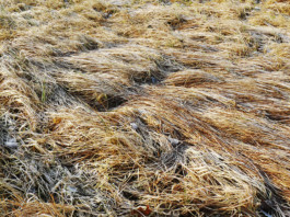 gestaltung [design] postler