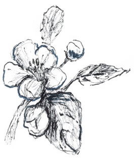 gestaltung [design] postler